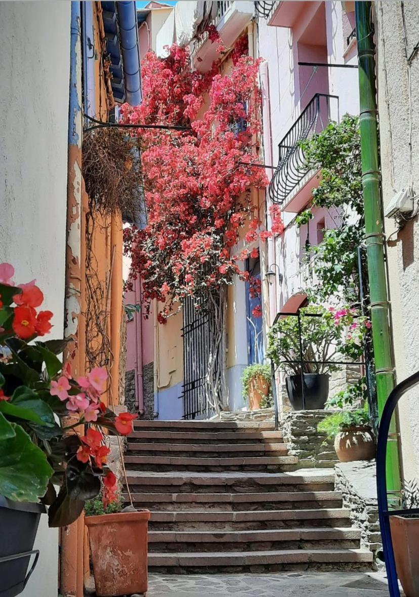 Studio Collioure Mouret Εξωτερικό φωτογραφία